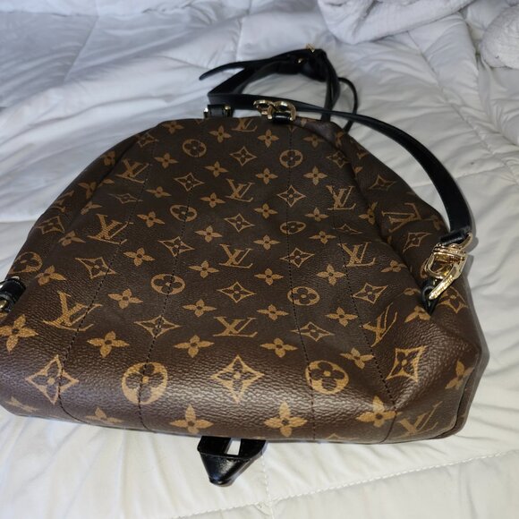 Louie Vuitton Smsll Backpack main image 4